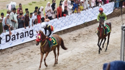 Libur Lebaran 2025, Wisatawan Kepincut Pacuan Kuda di Padang Pariaman