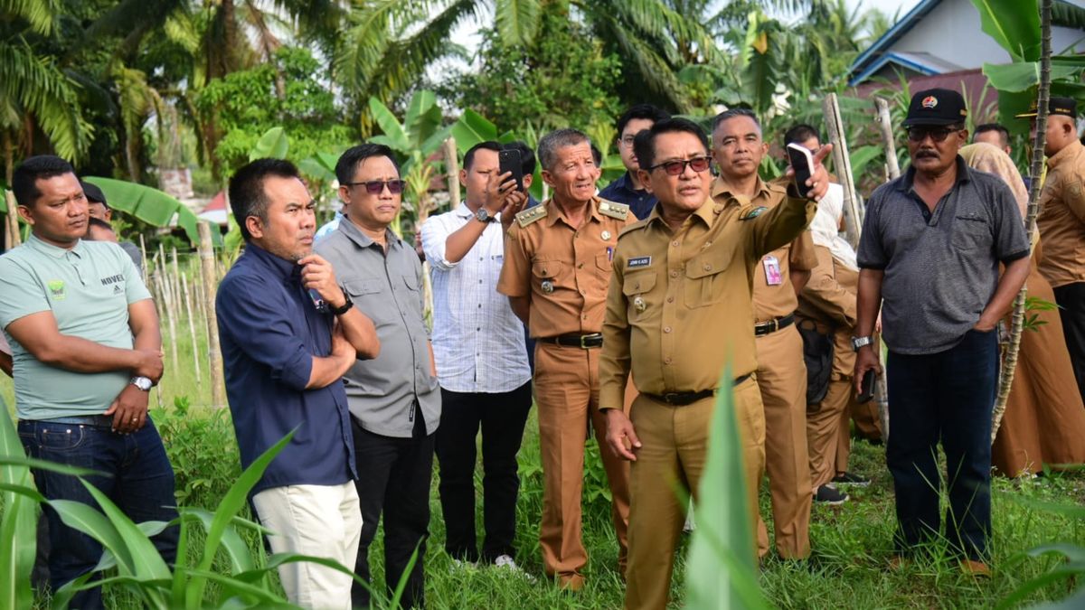 Normalisasi Batang Ulakan: Bupati JKA Minta Dukungan Pusat Saat Tinjauan BWS Sumatera V