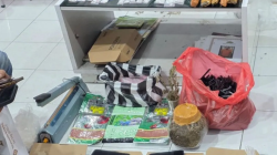 Intel TNI gagalkan peredaran ratusan paket narkotika di Agam